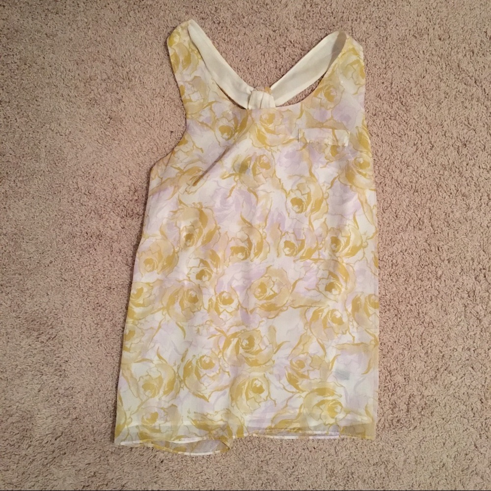 Sleeveless sheer top from the Limited